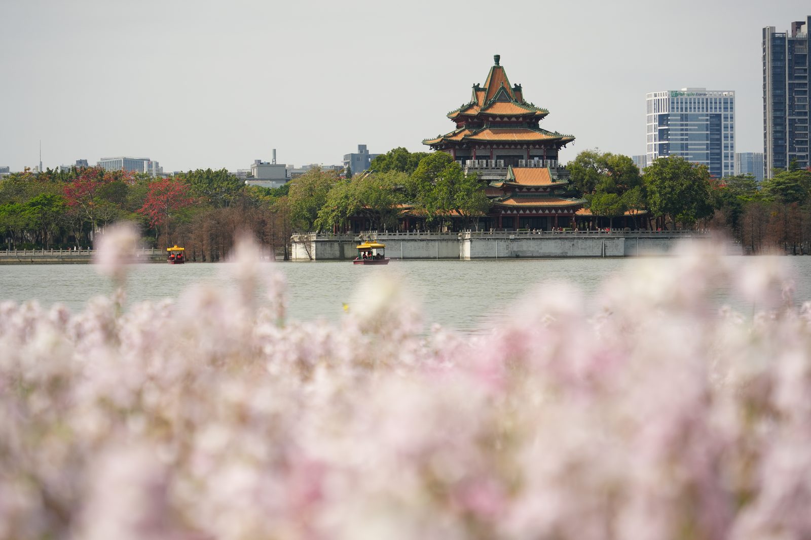 Photograph by HE Tianlun